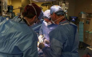 Fallece paciente que recibió primer trasplante de riñón de cerdo genéticamente modificado