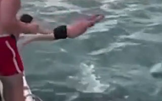 Video | &#34;Comportamiento estúpido&#34;: Multan a hombre por saltar desde embarcación contra una orca en Nueva Zelandia