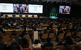 COP29 logra acuerdo de financiación climática de US$ 300.000 millones anuales para países en desarrollo