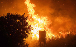 Fotos: Incendio en lujosa ciudad de Malibú (EE.UU.) se expande y obliga a miles de personas a huir