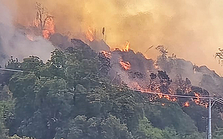 Declaran alerta roja y ordenan evacuaciones por incendio forestal en Paine: Habría viviendas afectadas