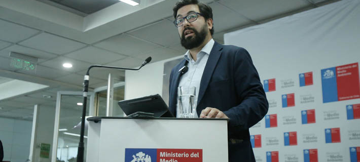 De ambientalistas a funcionarios públicos: El traspaso de las organizaciones al Gobierno
