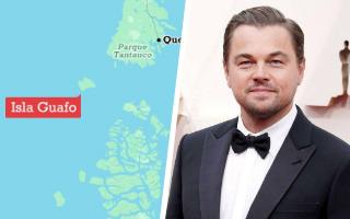 Guafo, la isla de Chiloé que fue comprada por ONG ligada a DiCaprio y que buscan convertir en parque nacional