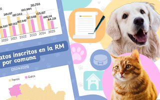 Razas, comunas y mayor preferencia por los perros: Zoom al Registro Nacional de Mascotas
