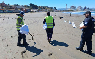 Armada investiga hallazgo de posible &#34;mancha oleosa&#34; en playa de Ventanas
