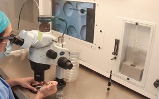 Investigan la desaparición de cientos de embriones criogenizados tras cierre de clínica de fertilidad en Bosnia