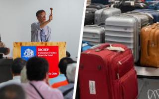 360 maletas "olvidadas" en el aeropuerto y caballos del Ejército: "Tía Rica" se alista para su remate anual