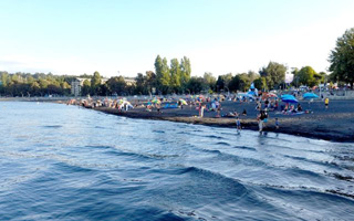 Alerta en lagos del sur: Solo Villarrica y Llanquihue tienen monitoreo de condición sanitaria