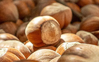 Del "oro rojo" a la avellana: El nuevo "boom" del campo chileno tras el fin del súper ciclo de la cereza