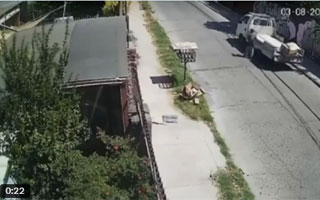 Video: El momento en que dejan caja con un cadáver en su interior frente a casa de la alcaldesa de Quinta Normal