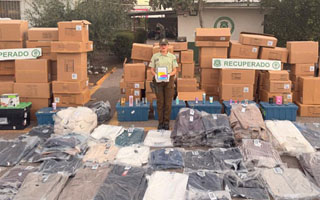 La Pintana: Detienen a 11 sujetos tras ser sorprendidos descargando especies robadas