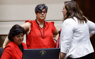 La oposición parte dividida en el Senado: Se conformarán dos comités tras pacto del SD con la derecha