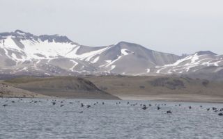 Meteorología emite alerta por lluvias "moderadas a fuertes" con isoterma cero alta para tres regiones