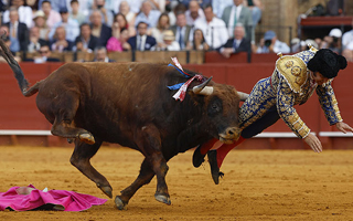 Video | La brutal cornada que recibió un torero en España: Le perforó el recto y tuvieron que reparar su esfínter