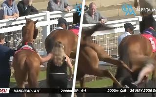 Video | Mujer recibe brutal patada de un caballo en hipódromo de Reino Unido: La golpeó con sus patas traseras