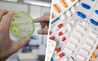 Avance significativo: Descubren prometedor antibiótico que ataca algunos de los patógenos más peligrosos
