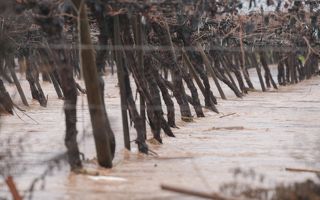 "Niño Godzilla": La amenaza climática que acecha a la delicada economía chilena