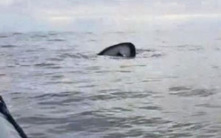 Buscan a dos tripulantes de lancha que naufragó en Chañaral: Otro pescador fue rescatado