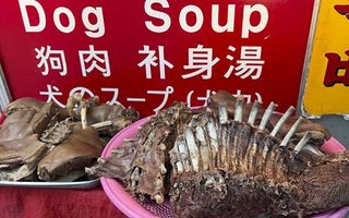 "¿Qué país prohíbe por ley un alimento?": Surcoreanos viven su último verano de sopa de carne de perro