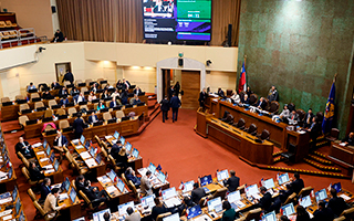 Reforma de seguridad sigue en el Senado con urgencia simple: Las distintas posturas tras la decisión del Gobierno