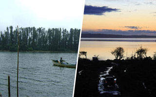En Valdivia y Tierra del Fuego: Las tres islas de propiedad fiscal que el Gobierno pondrá a la venta