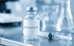 Tennesse comenzó a usarlo en 2024: Qué es el pentobarbital, el fármaco de la ejecución fallida de Christa Pike en EE.UU.