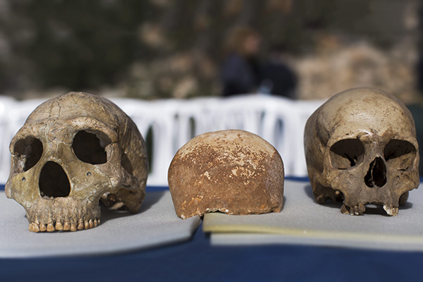 Humanos modernos pudieron tener ventaja sobre Neandertales por su dieta