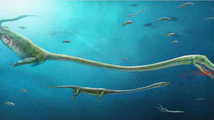 Descubren un dinosaurio que aún conservaba el fósil del embrión en su cuerpo