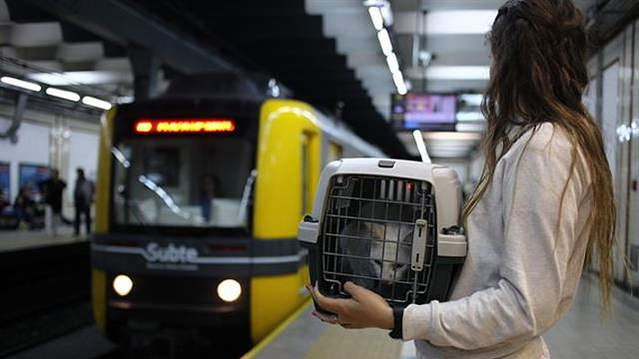 El metro de Buenos Aires se vuelve 