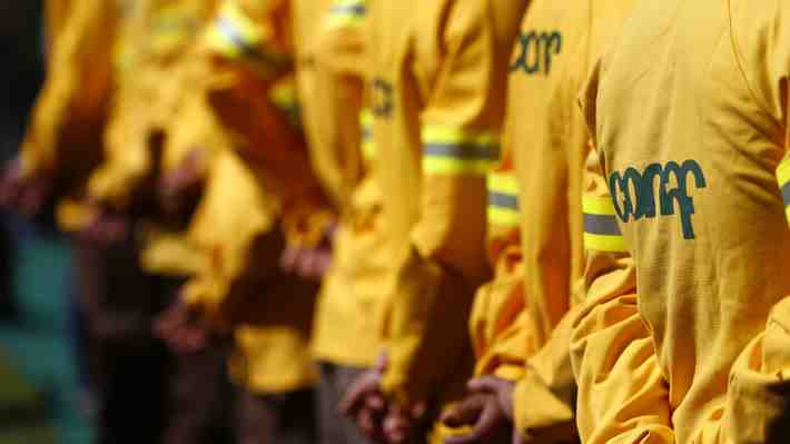 Conoce el Sernafor, la entidad que reemplazará a la Conaf en materia de incendios forestales