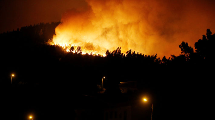 Incendio forestal deja al menos 24 muertos en Portugal