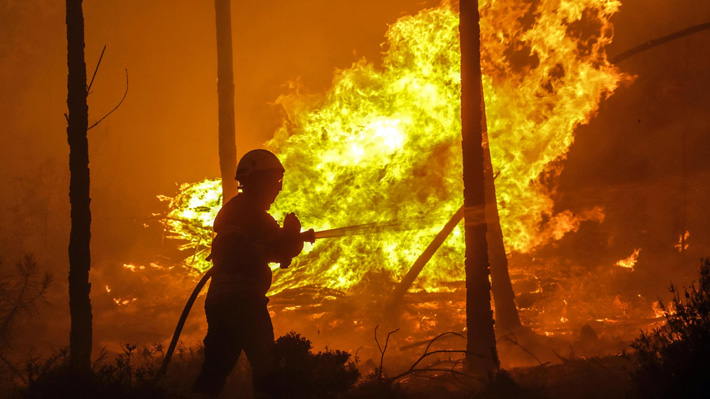 Las diferencias y similitudes con lo ocurrido en Chile del incendio forestal más mortífero de Portugal