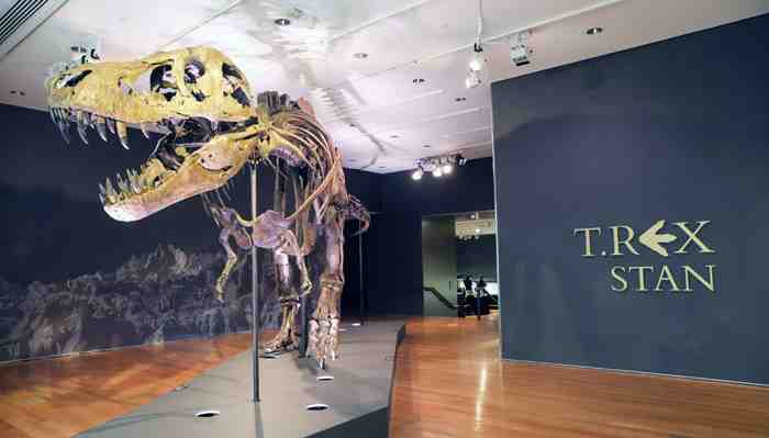 Subastan restos fósiles de un T-Rex por USD 31,8 millones, cifra récord para un dinosaurio