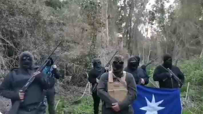 Conaf oficia a la fiscalía por toma de Reserva Nacional Malleco a manos de encapuchados armados con fusiles