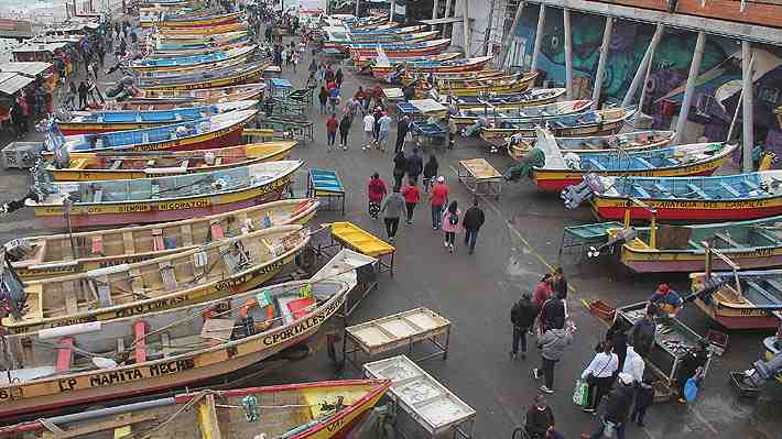 TC declara inconstitucional proyecto que buscaba incluir a pescadores artesanales como beneficiarios del Bono Pyme