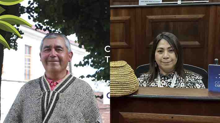 Comisión de Derechos de los Pueblos Indígenas elige a Victorino Antilef y Margarita Vargas como coordinadores