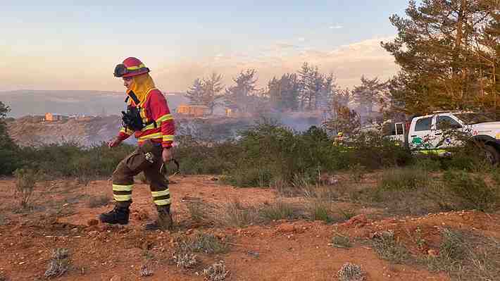 Declaran alerta roja por incendio forestal que amenaza viviendas en sector Laguna Verde de Valparaíso
