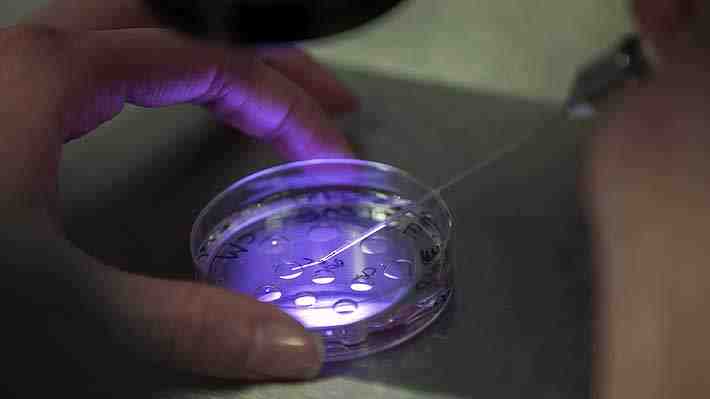 Dos parejas demandan a una clínica de fertilidad de California por intercambiar sus embriones