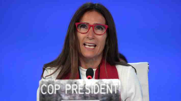 Schmidt renuncia como ministra del Medio Ambiente y Presidente nombra en su reemplazo a subsecretario de la cartera
