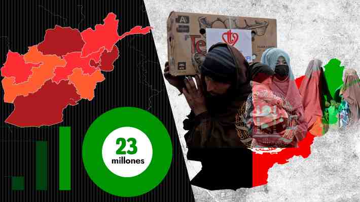 A cuatro meses del retorno de los talibanes al poder: La crisis alimentaria que golpea a Afganistán