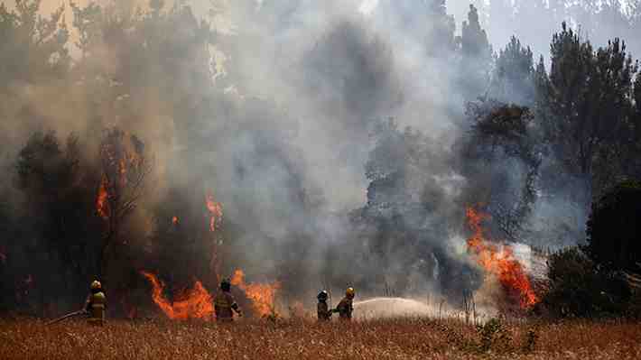 Incendios forestales: Ordenan nuevas evacuaciones en Quillón y llamas ya han consumido más de 11 mil hectáreas