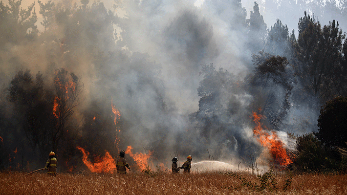 Altas temperaturas y baja humedad: Las complejas condiciones que propician la propagación de incendios forestales
