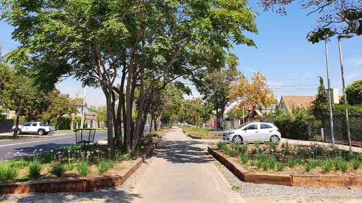 "Plantemos futuro": Las Condes presenta plan para reconvertir antejardines de alto consumo hídrico por riesgo de racionamiento