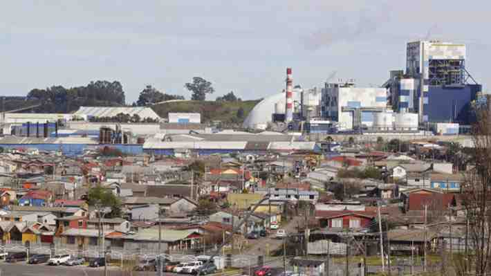 Va por el récord: Coronel y Camanchaca buscan organizar el ceviche de jurel más largo del mundo