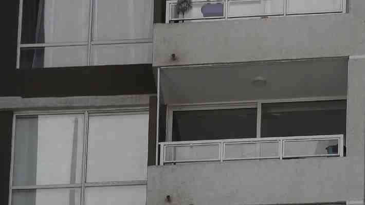 La instalación de mallas en los balcones hace parte del derecho a convivir  con animales de compañía