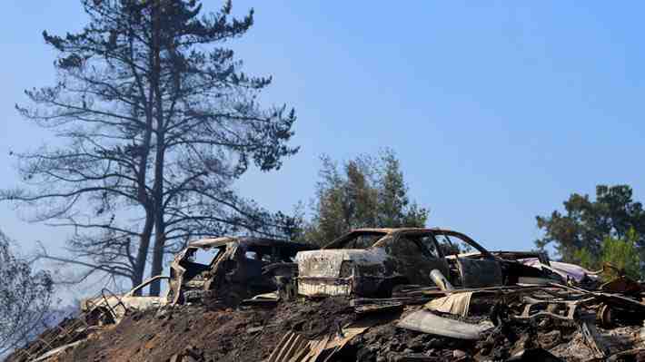 Senapred reporta 39 incendios forestales en combate: Zonas de Ñuble, Biobío y La Araucanía se mantienen con alerta roja