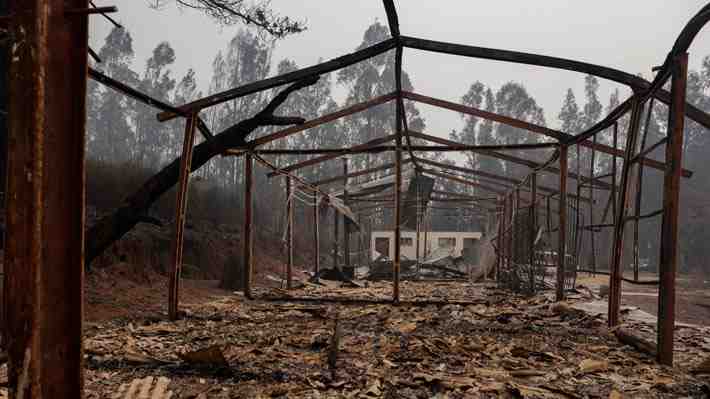 Gobierno informa que hay 71 incendios forestales en combate y asegura que perseguirán "con severidad" a responsables