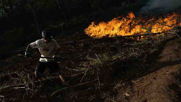 Balance incendios: Hay 94 siniestros forestales en combate y 1.250 viviendas destruidas