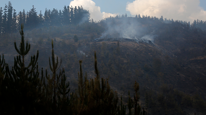 Las comunas con incendios más complejos y los recursos que se han desplegado para combatirlos