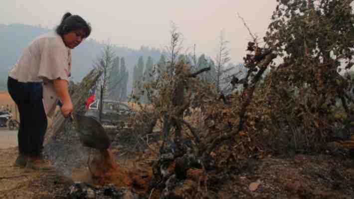 Comienza pago de bono para damnificados por incendios forestales: ¿Quiénes y cómo lo recibirán?